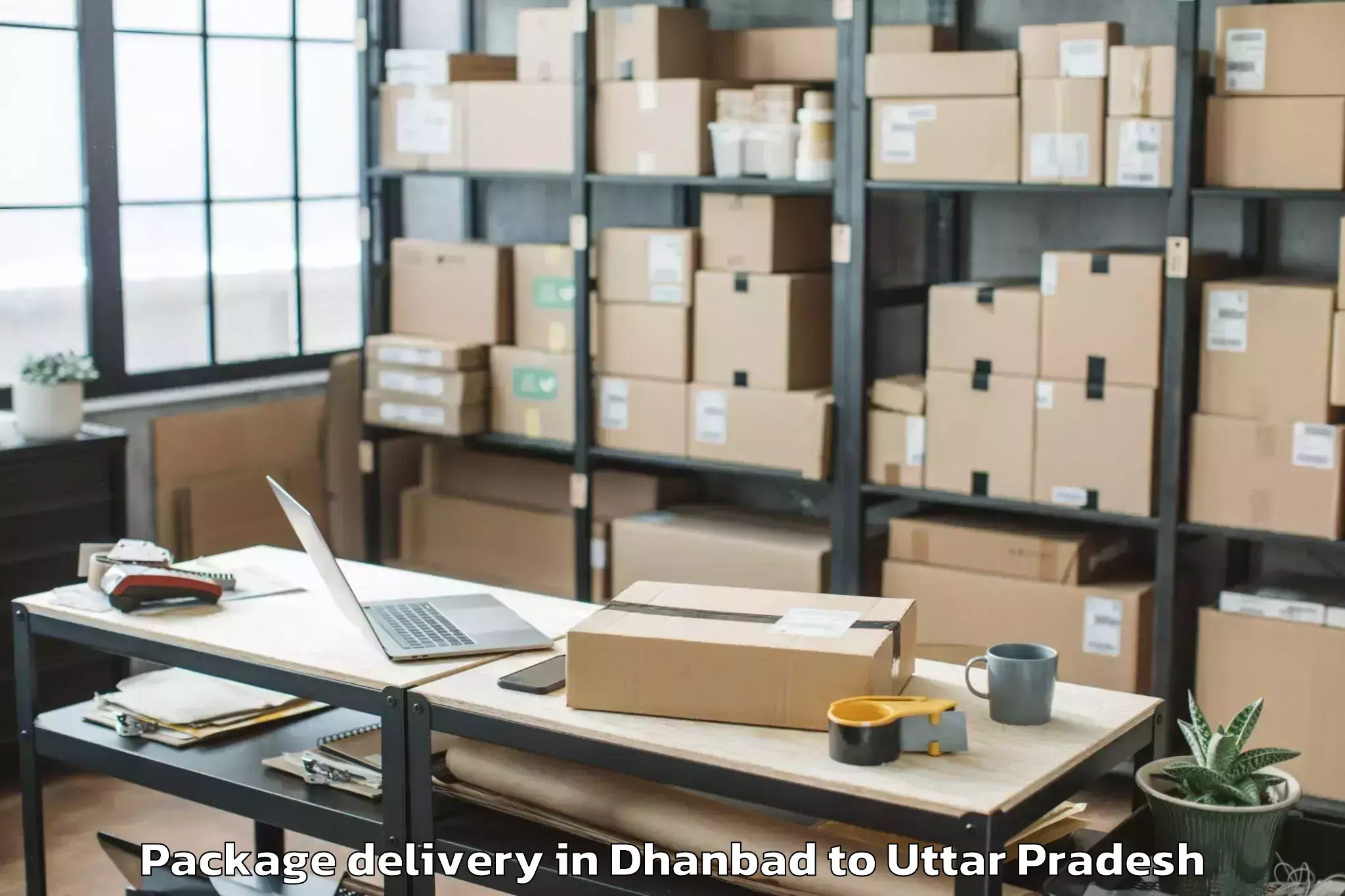 Book Your Dhanbad to Gyanpur Package Delivery Today